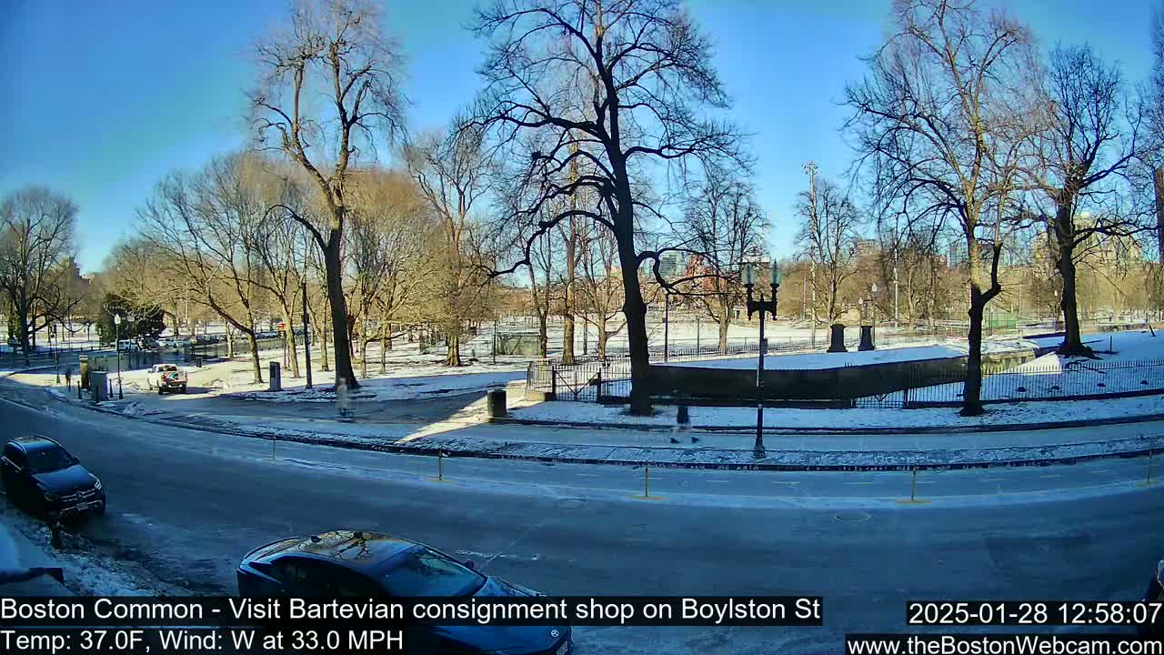 A sunny, windy day in a snow-dusted park with bare trees, bordering a street with cars.