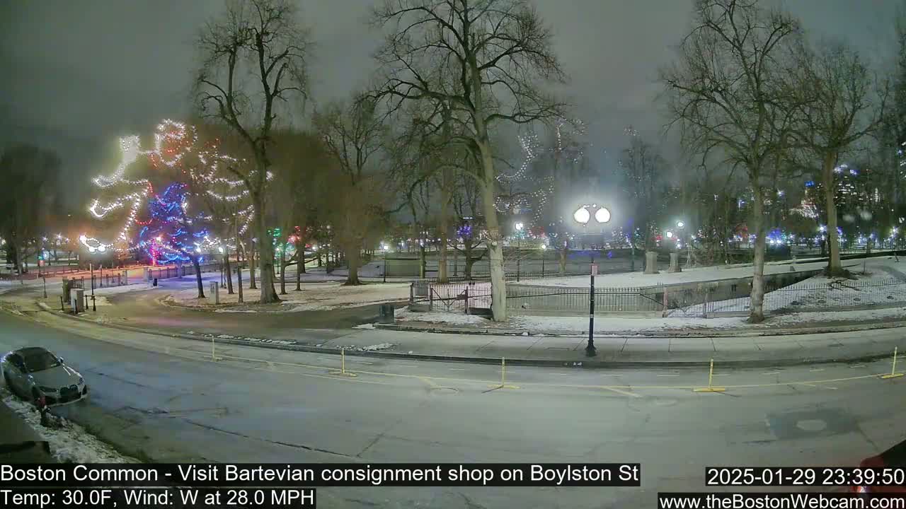 A snow-covered park at night, illuminated by lights on trees and streetlights, with a car parked on a nearby road, under a windy, cold night.