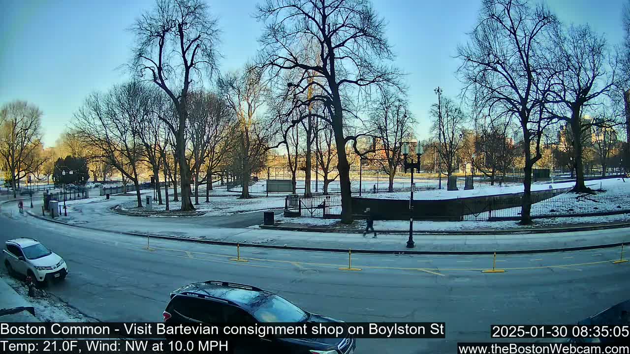 A partly snowy park with bare trees is visible from a street with cars, under a clear blue sky.