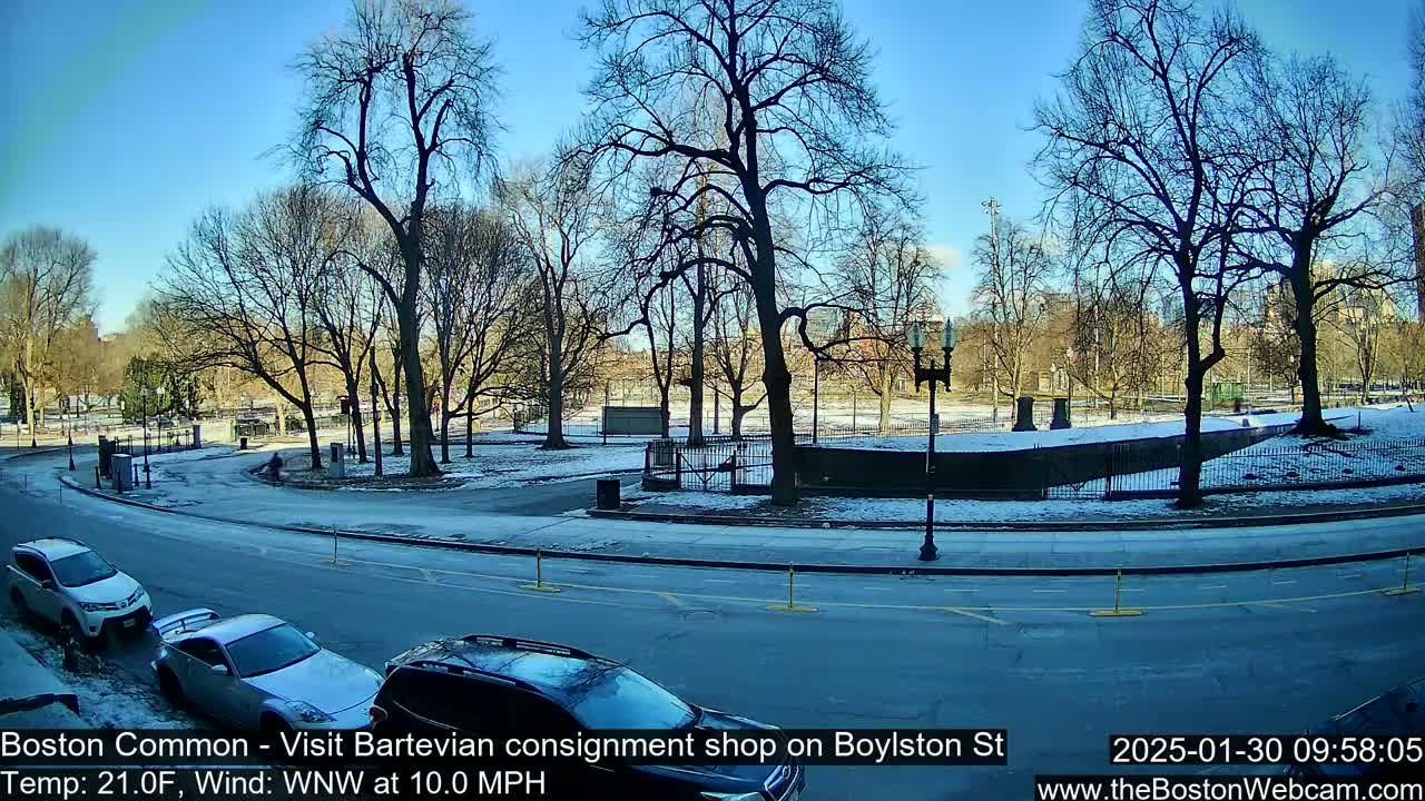 A partly sunny winter scene shows a snow-dusted park with bare trees, a curved roadway with parked cars, and a clear blue sky.