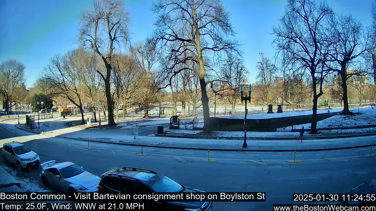 A sunny, cold day with snow on the ground and a 21 mph wind shows a city street bordering a park with bare trees and parked cars.