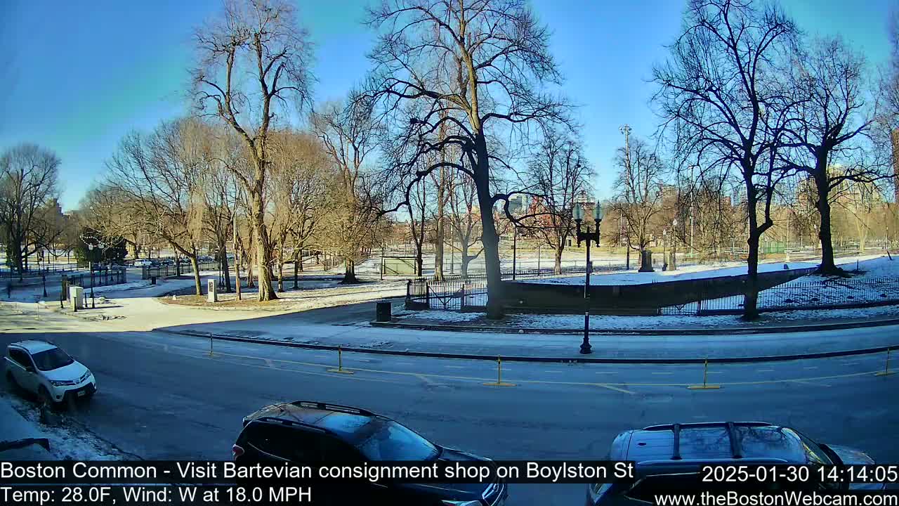 A sunny, windy winter day in a park with snow on the ground and bare trees, viewed from a street with cars parked and driving.