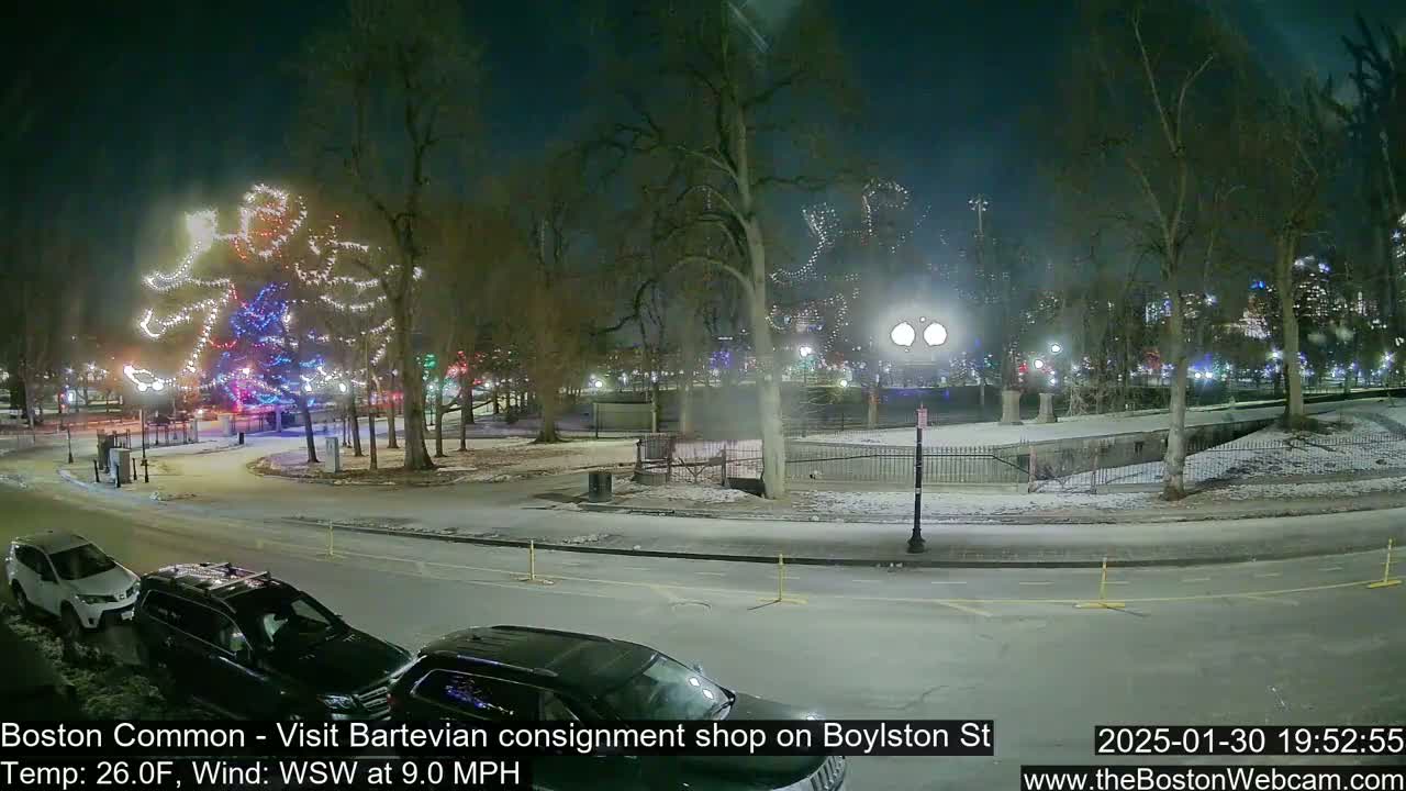 A snow-covered park at night features a large, illuminated tree sculpture and several cars parked along a road.