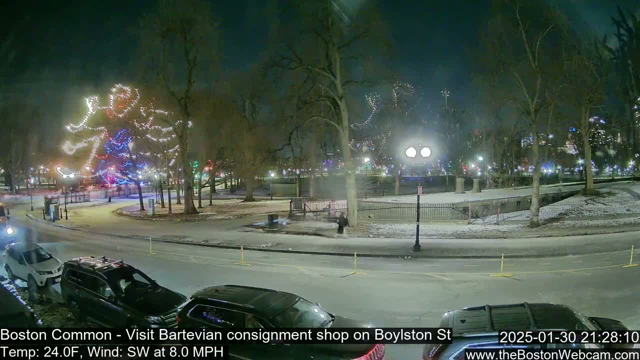 A snow-dusted park at night, illuminated by lights on trees and streetlights, with cars parked along a road and a large light display shaped like a tree.