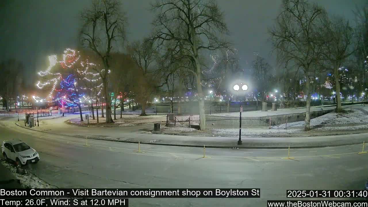 A snow-covered park at night with a lighted Christmas tree and a car parked on a nearby road, under a dark, slightly overcast sky with a south wind.