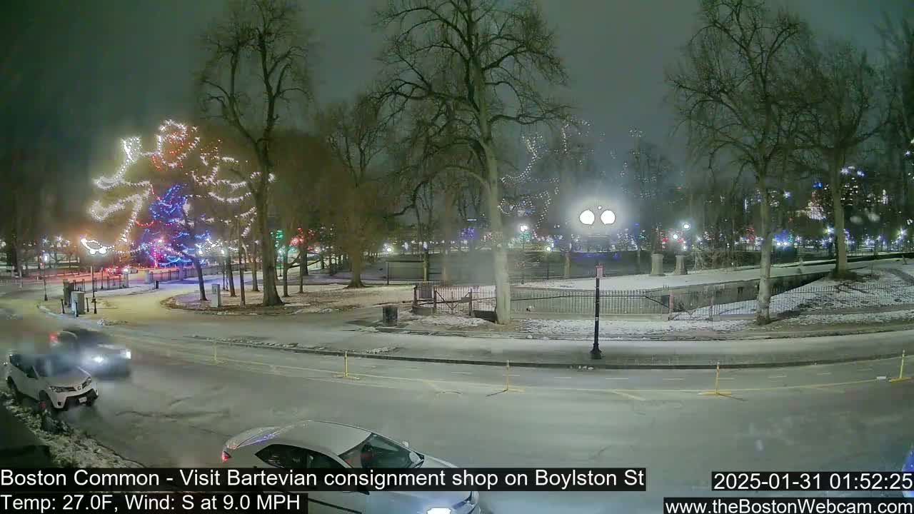 A nighttime scene of a snow-covered park with illuminated trees, cars on a road, and a few buildings in the distance under a dark, cloudy sky.
