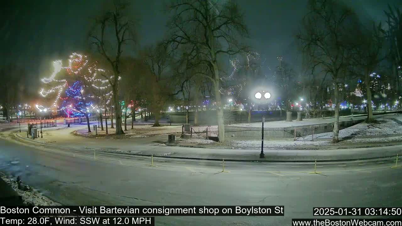 A snow-covered park at night with a large, illuminated tree and streetlights, under a dark, cloudy sky.