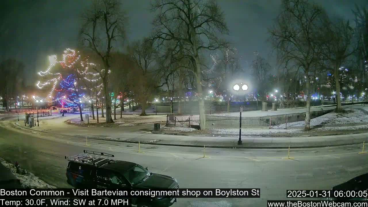 A snow-covered park at night, illuminated by streetlights and a large, illuminated tree, with a dark-colored vehicle parked nearby.
