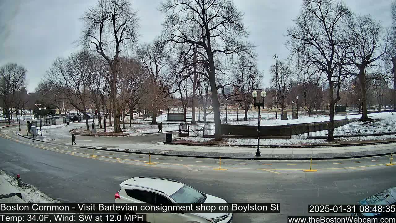 A partly snowy park with bare trees is seen from a street, under an overcast sky, with a white SUV parked at the roadside.
