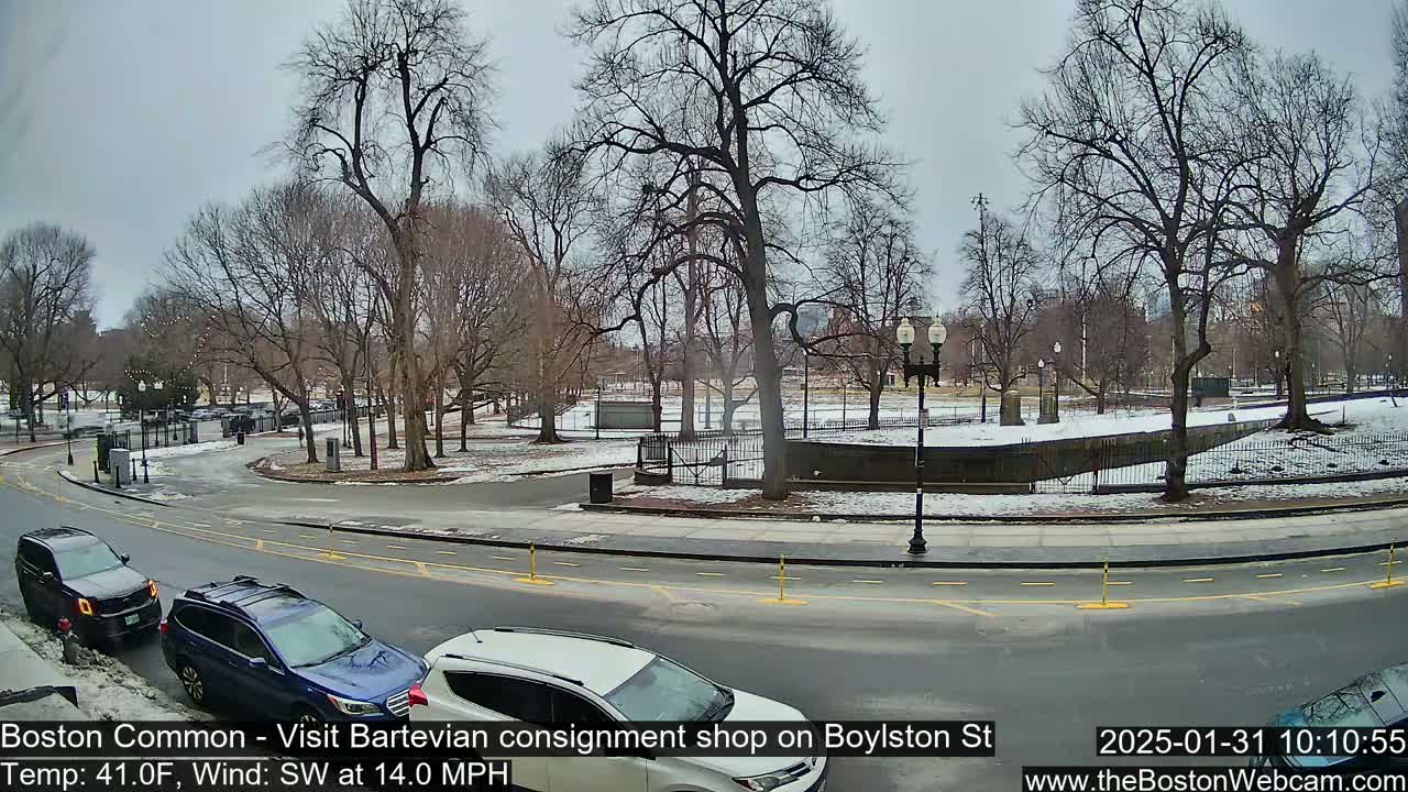 A snow-dusted park with bare trees is visible beyond a street where several cars are parked, under an overcast sky.