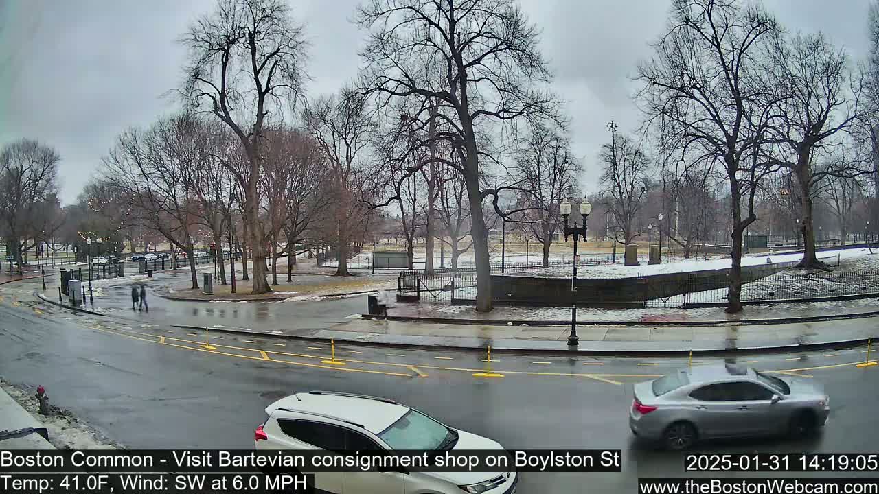 A wet, overcast day in a park with bare trees, a few pedestrians, and cars on a roadway.