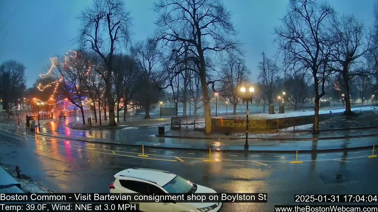 A rain-slicked city park at dusk, illuminated by streetlights and Christmas tree lights, with a car parked near the road.