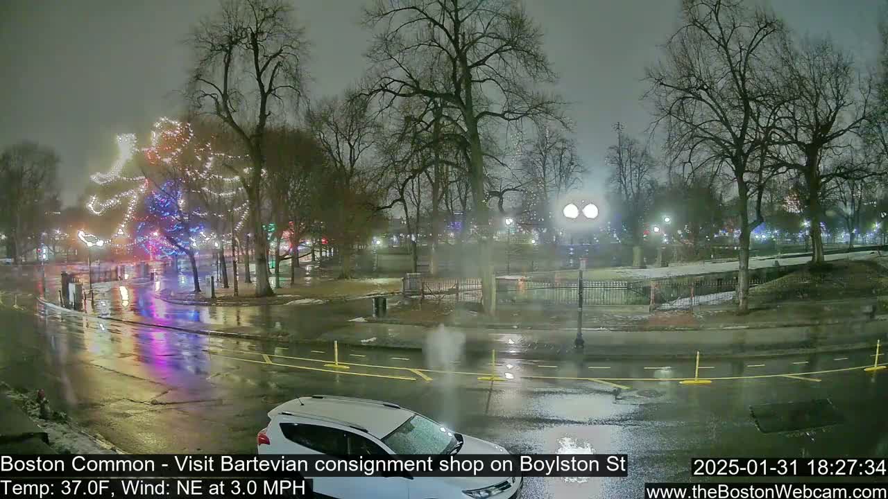 A wet, nighttime scene shows a park with illuminated trees and a street with a car, under a 37°F temperature and a northeast wind of 3.0 mph.