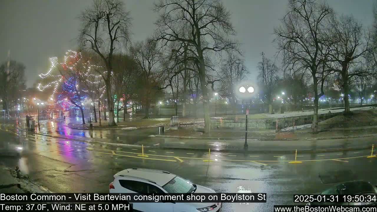 A wet, nighttime street scene shows a park with Christmas lights on trees and a car parked on the side of the road.