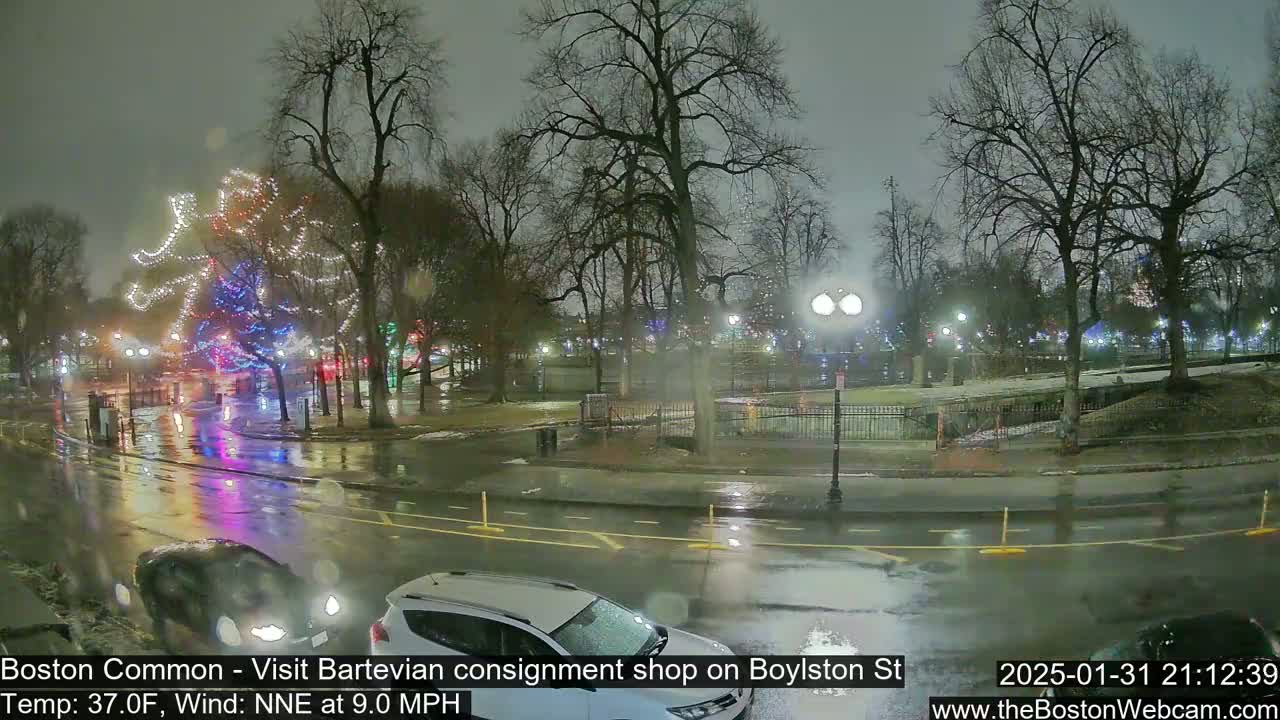 A rain-slicked street at night, bordered by bare trees adorned with holiday lights, shows some cars parked on the side and one driving.