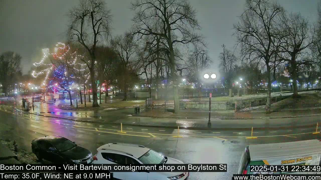 A rain-slicked park at night, illuminated by streetlights and Christmas decorations on trees, is viewed from across a wet road.
