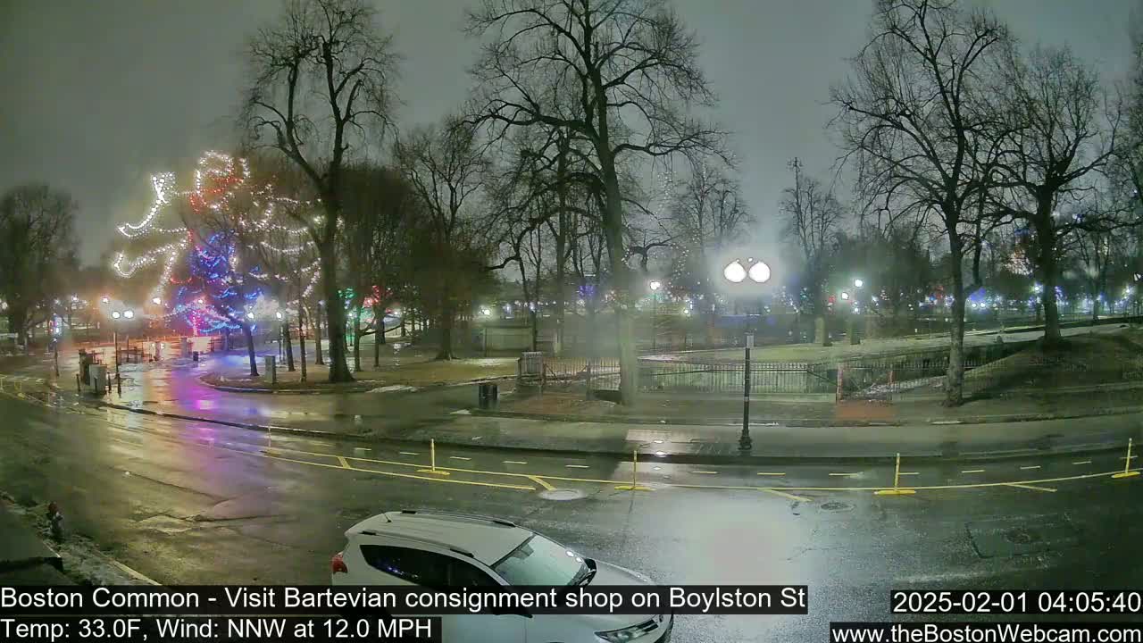 A nighttime view of a park with a large illuminated tree and wet roads, under overcast skies with a 12 mph wind.