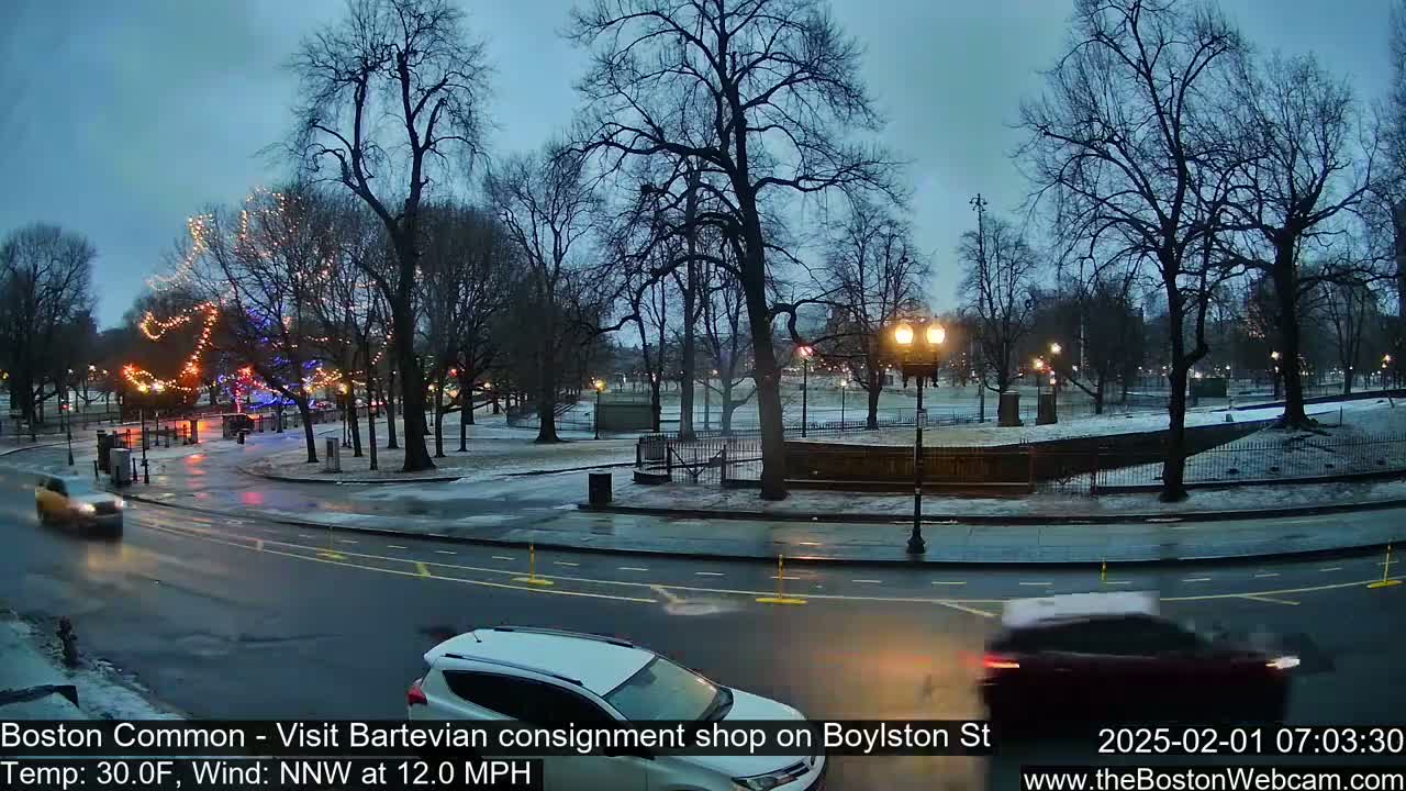 A city park with bare trees and Christmas lights is visible across a wet street from several cars under a twilight sky.