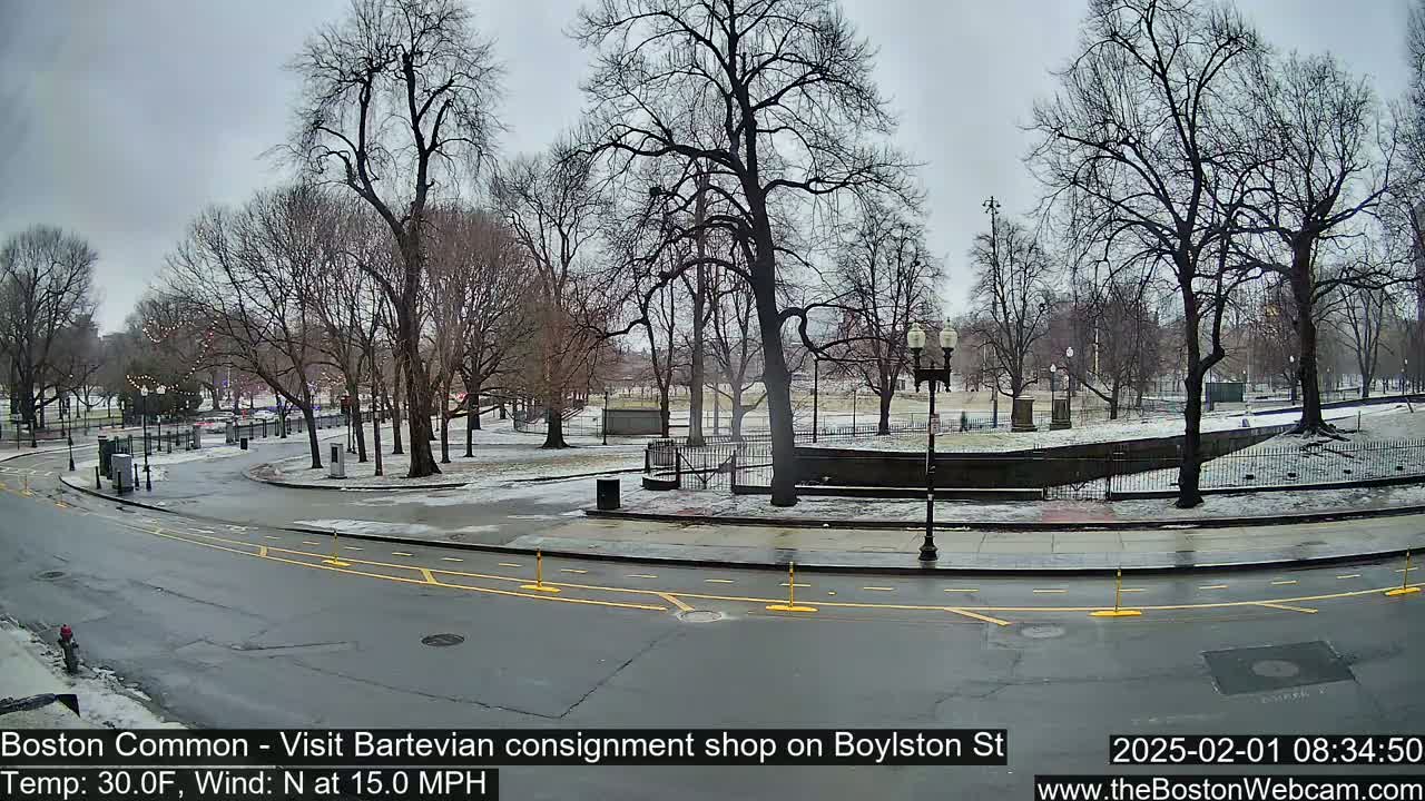 A partly snow-covered park with bare trees is visible beyond a curved roadway on an overcast day.