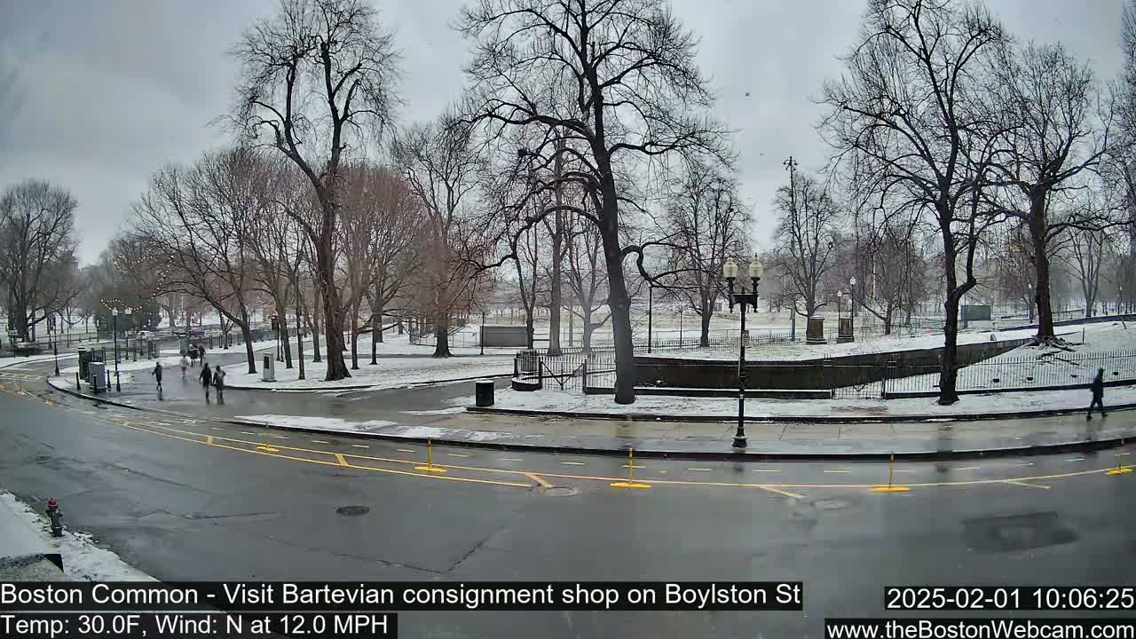 A snow-covered park with bare trees and a few pedestrians is seen from a street, under a gray sky with a north wind.