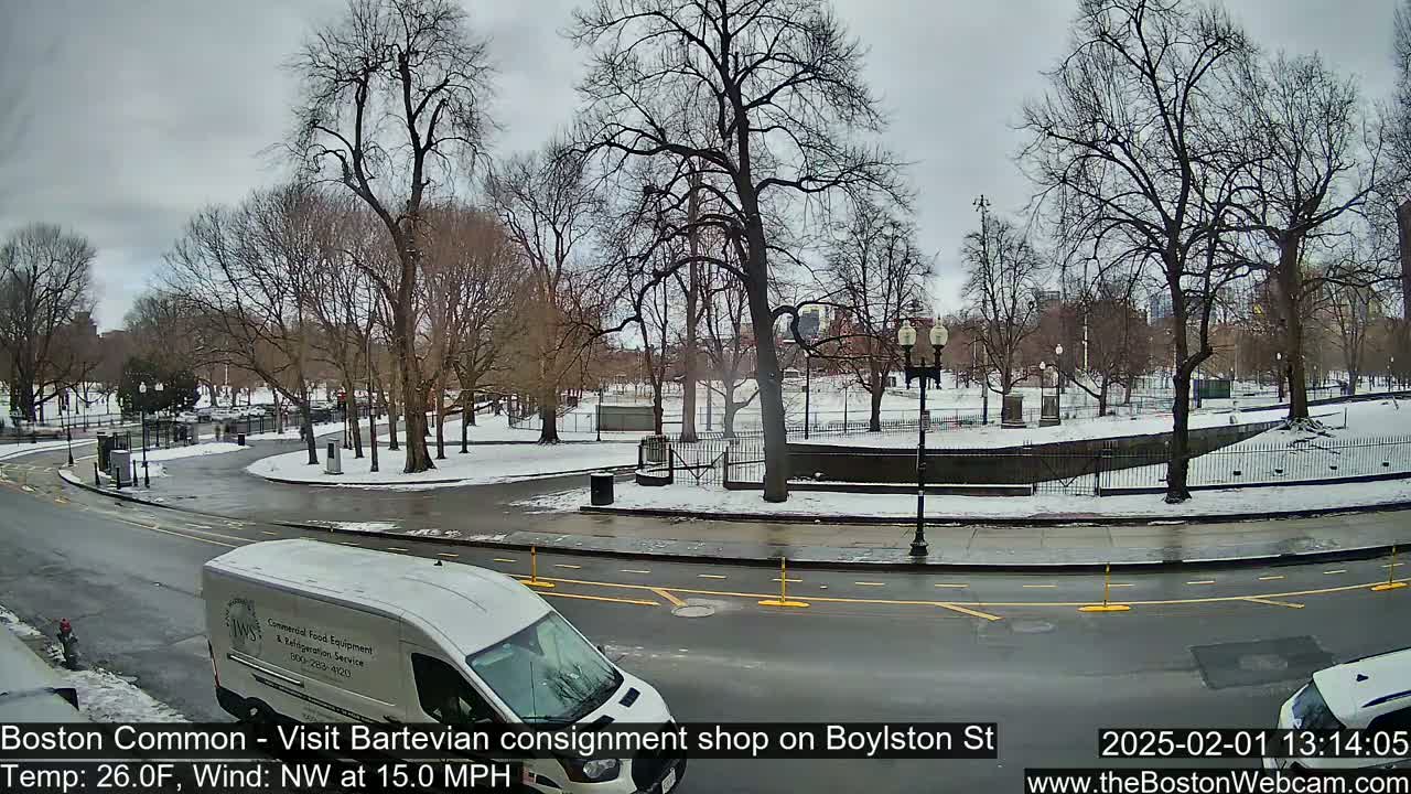 A white van is parked near a snow-covered park with bare trees under a cloudy sky.