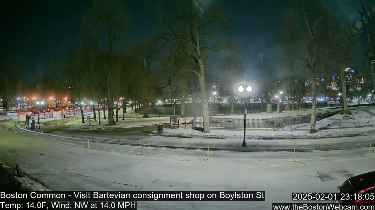 A snow-covered park at night, illuminated by streetlights, with a road and some traffic visible in the background under a clear sky.