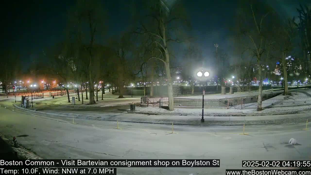 A snow-covered park at night, illuminated by streetlights, with a road curving through it under a dark sky.