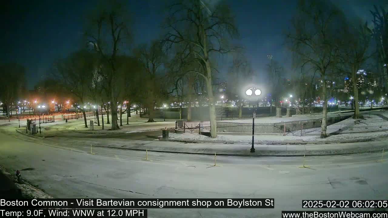 A snow-covered park at night, illuminated by streetlights, with bare trees and a roadway curving through it.