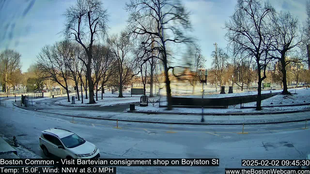 A snow-covered park with bare trees is visible from a street where a white SUV is driving, under a partly sunny sky.
