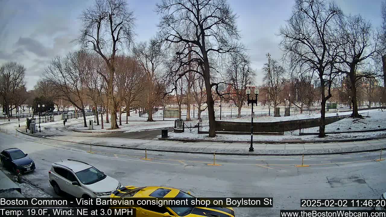 A snow-covered park with bare trees is seen from a street with cars parked along the side, under a cloudy sky.