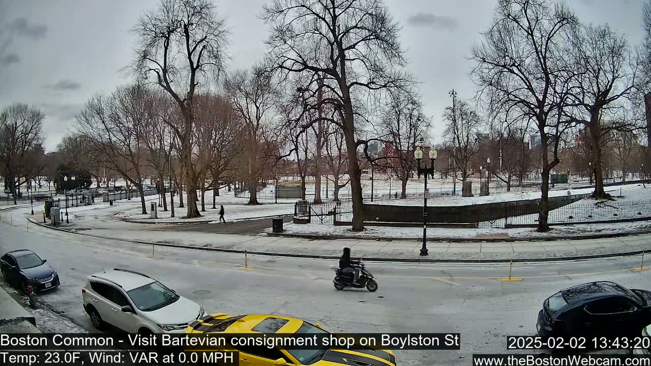 A snow-covered park with bare trees is visible from a street where cars and a scooter are parked or moving, under an overcast sky.