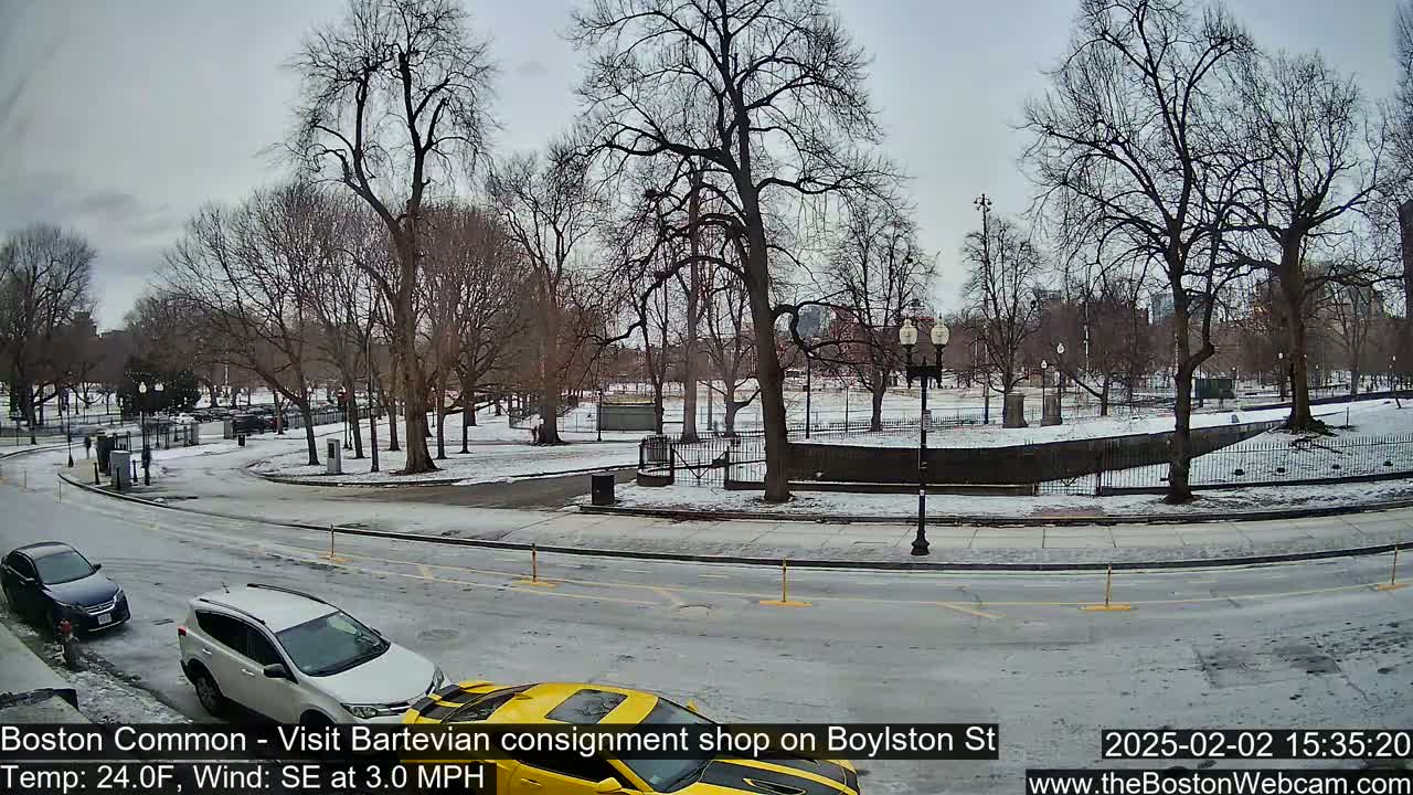 A snow-covered park with bare trees and a few cars parked on a street next to it, under an overcast sky.