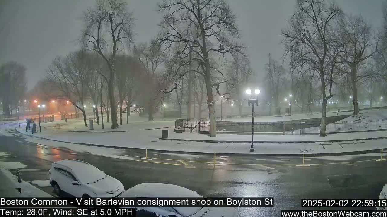 A snow-covered park at night, with a road and cars visible under a light snowfall.