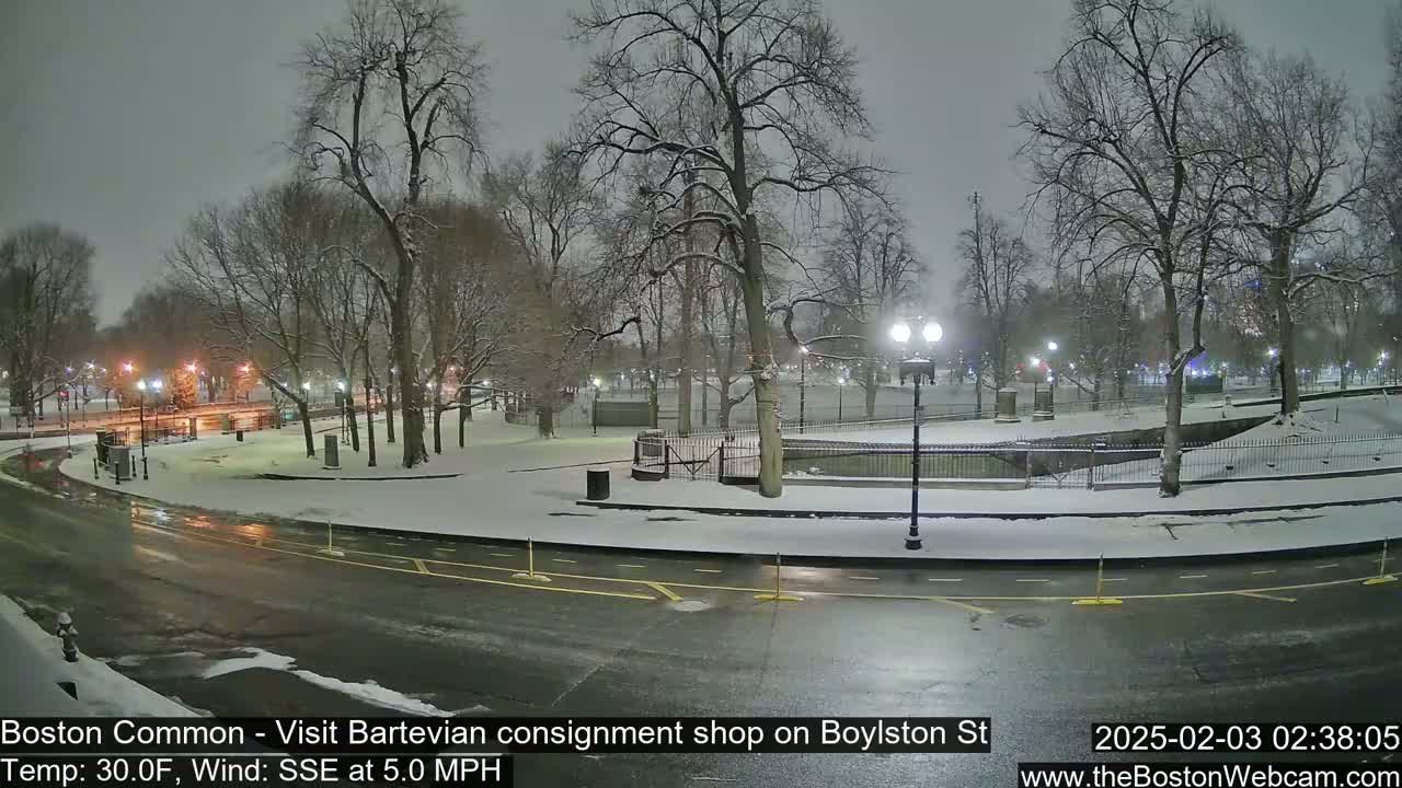 A snow-covered park at night, with a road curving through it, lit by street lamps under a dark sky.