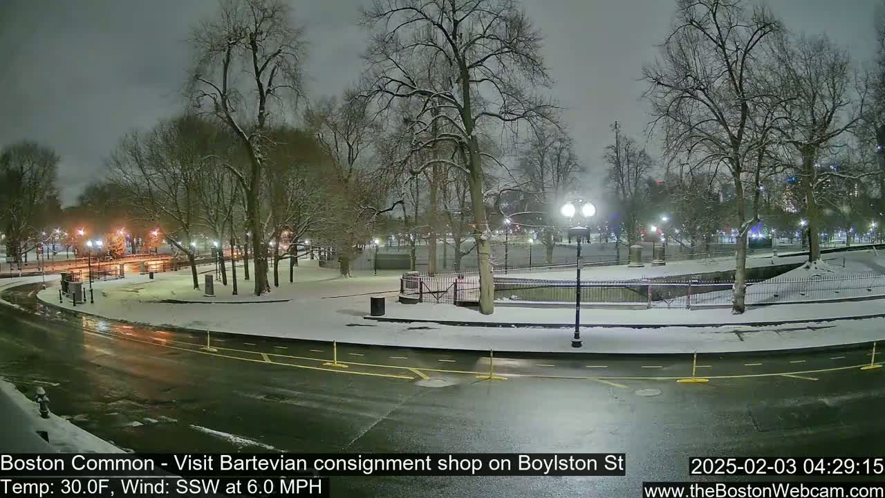 A snow-covered park at night, with a road curving through it, lit by streetlights.