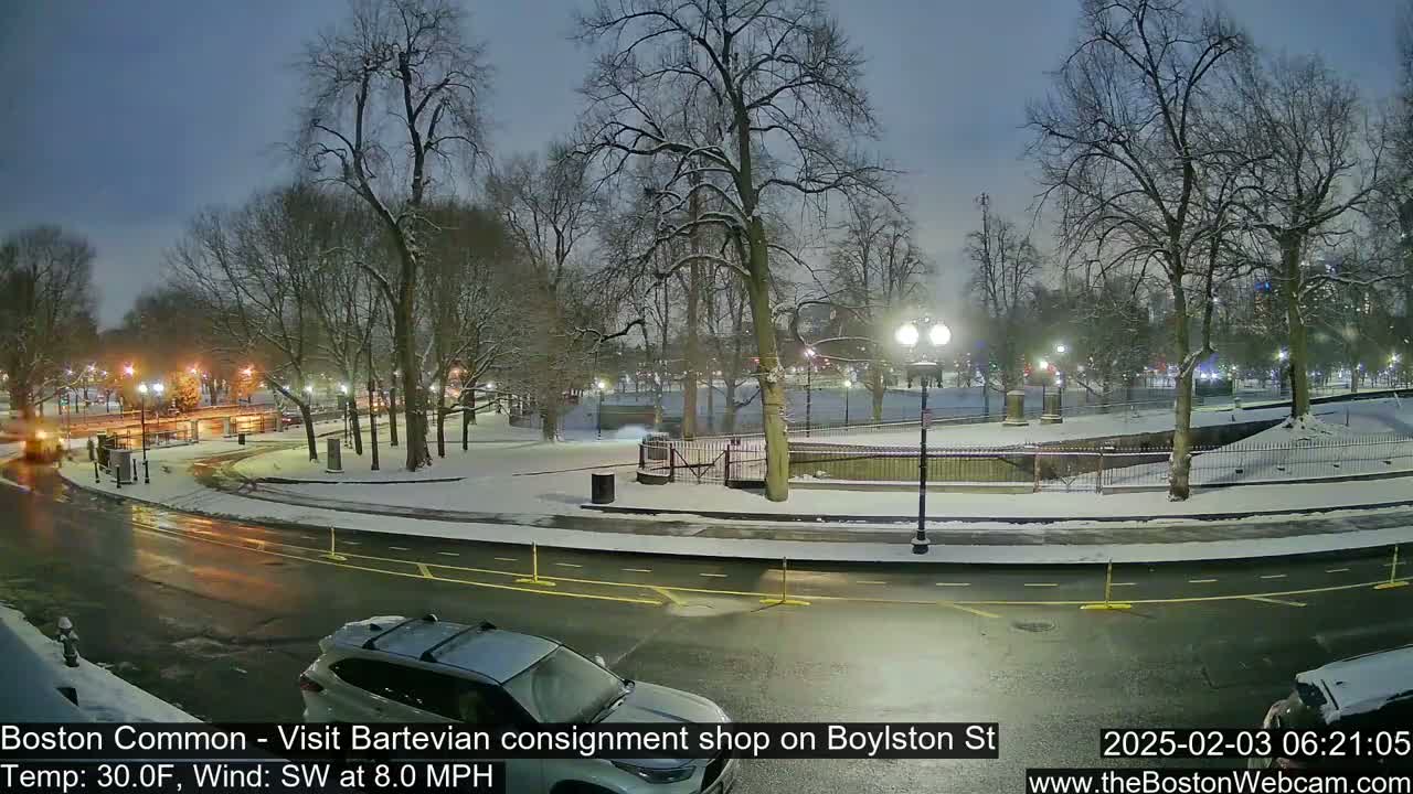 A snow-covered park at night, with streetlights illuminating a roadway and surrounding bare trees under a twilight sky.