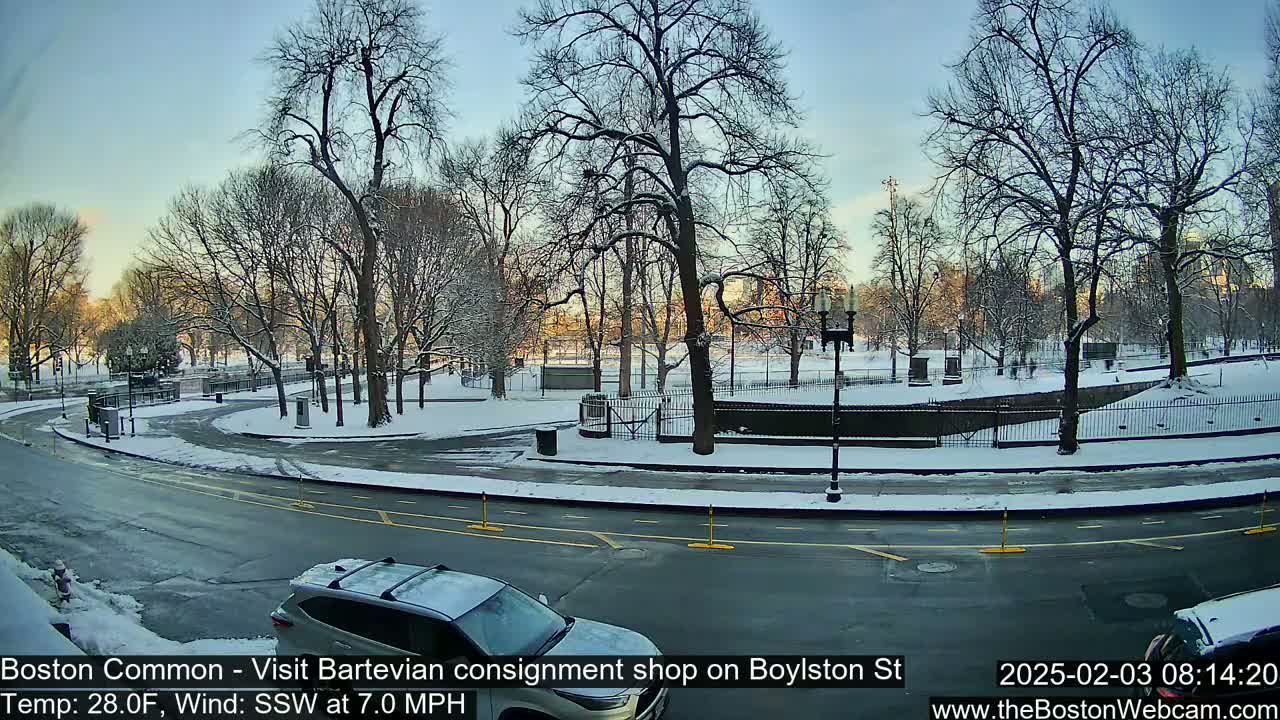 A snow-covered park with bare trees is seen from a street, where a car is parked near a curved road under a partly clear sky.