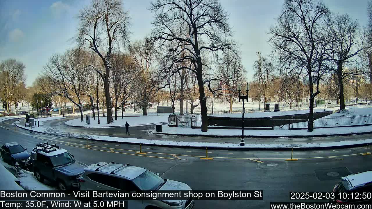 A snow-covered park with bare trees surrounds a curved roadway where several cars are parked, and a person walks along the sidewalk in a sunny, cold-weather scene.