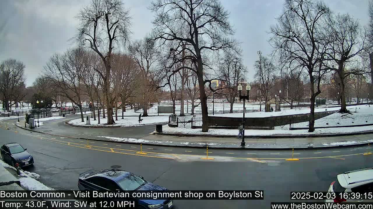 A snow-covered park with bare trees is visible beyond a roadway with several cars, under a cloudy sky.
