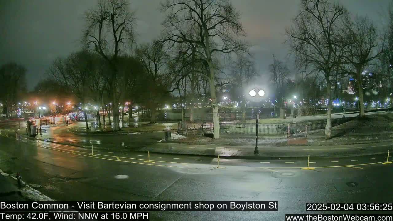 A nighttime view of a wet, tree-lined park and roadway under a dark, overcast sky.