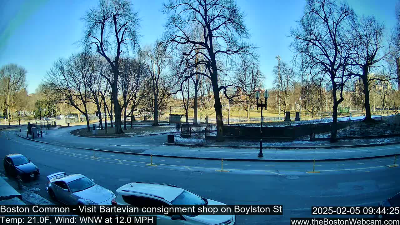 A sunny, cold day in a park with bare trees, a curved road, and several cars parked along the street.
