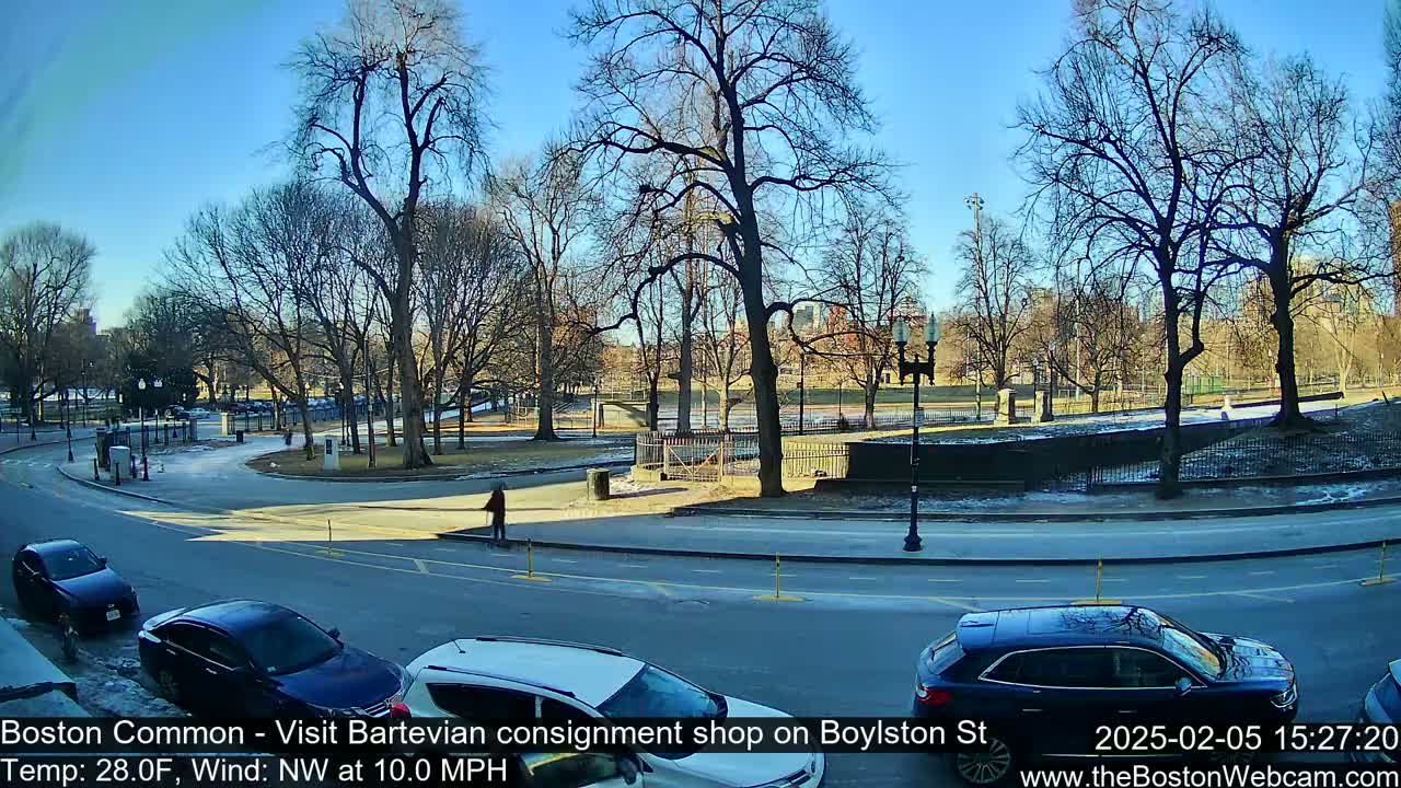 A sunny, cold day in a park with bare trees, a road with parked cars, and a few pedestrians.