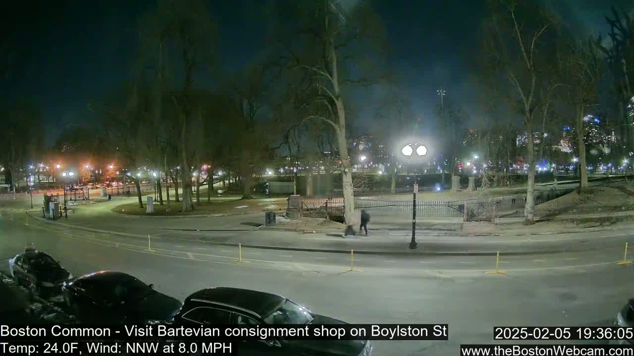 A nighttime view of a park, with a few people walking near a road and cars parked along the curb, under a clear sky.