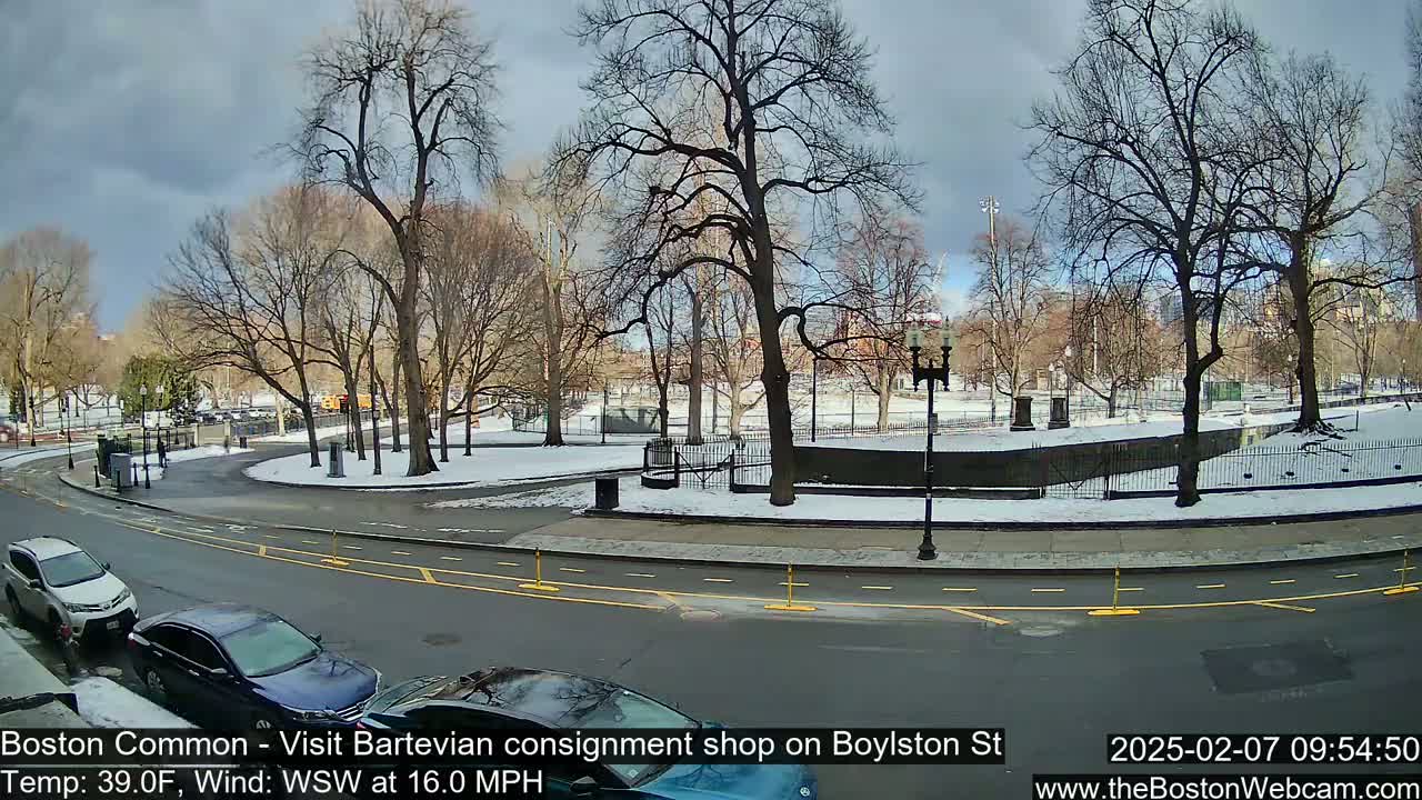 Boston Common at Boylston St.  Live Cam  - Boston , Massachusetts, USA