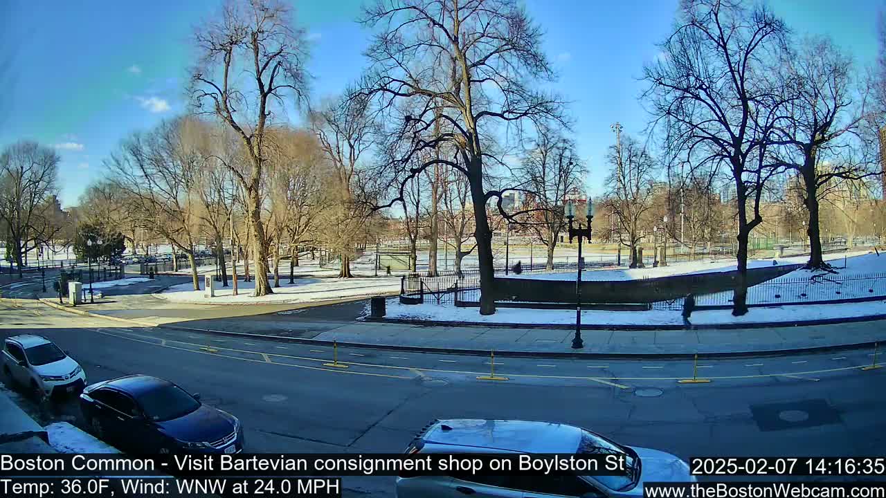 Boston Common at Boylston St.  Live Cam  - Boston , Massachusetts, USA