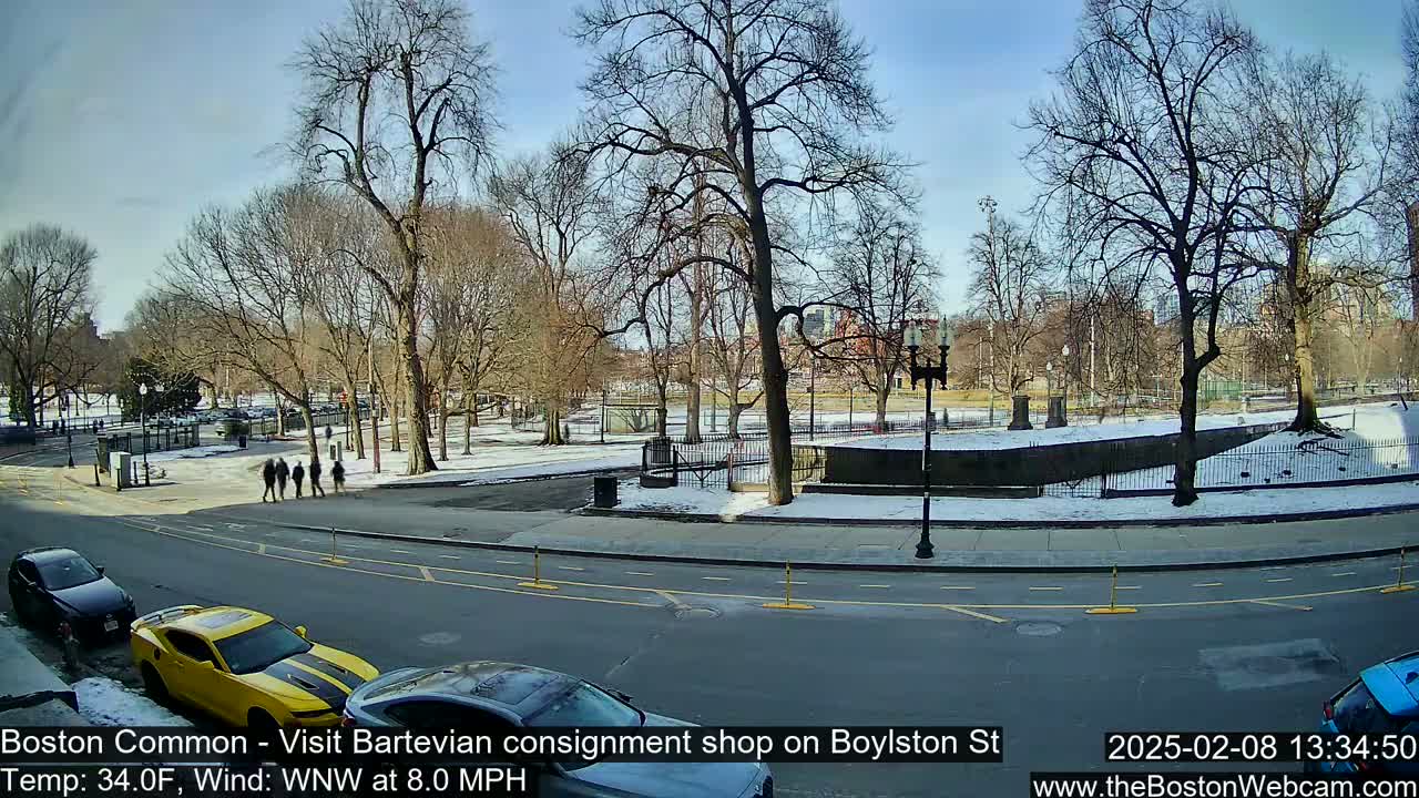 A sunny, cold day in a park with bare trees and a few people walking, viewed from a street with cars parked along the curb.