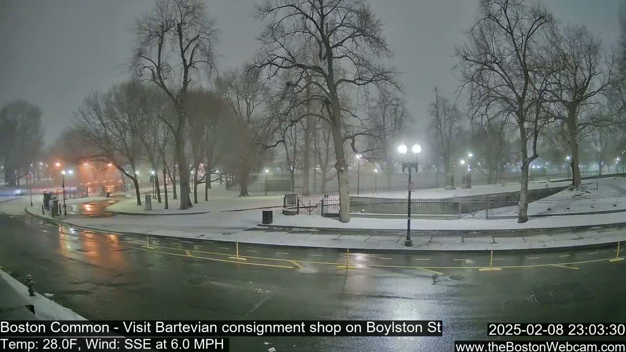 A snow-covered park at night, illuminated by streetlights, with a wet road curving through the scene under a lightly snowing sky.