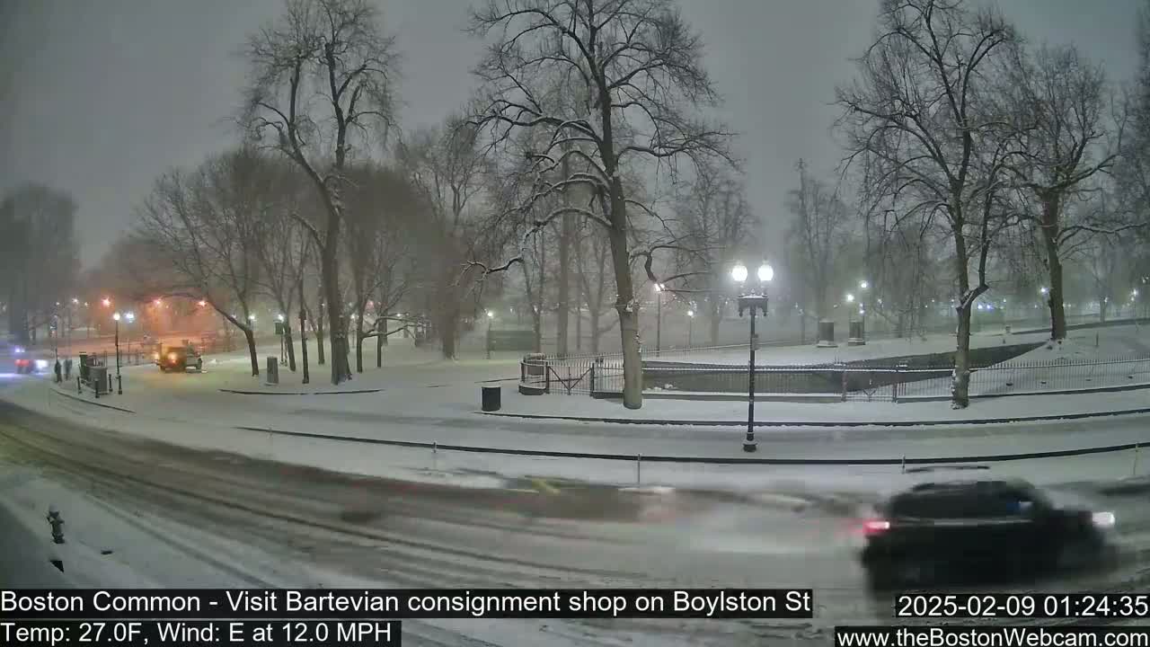 A snow-covered park and street scene at night, with cars driving on a snow-covered road under falling snow.