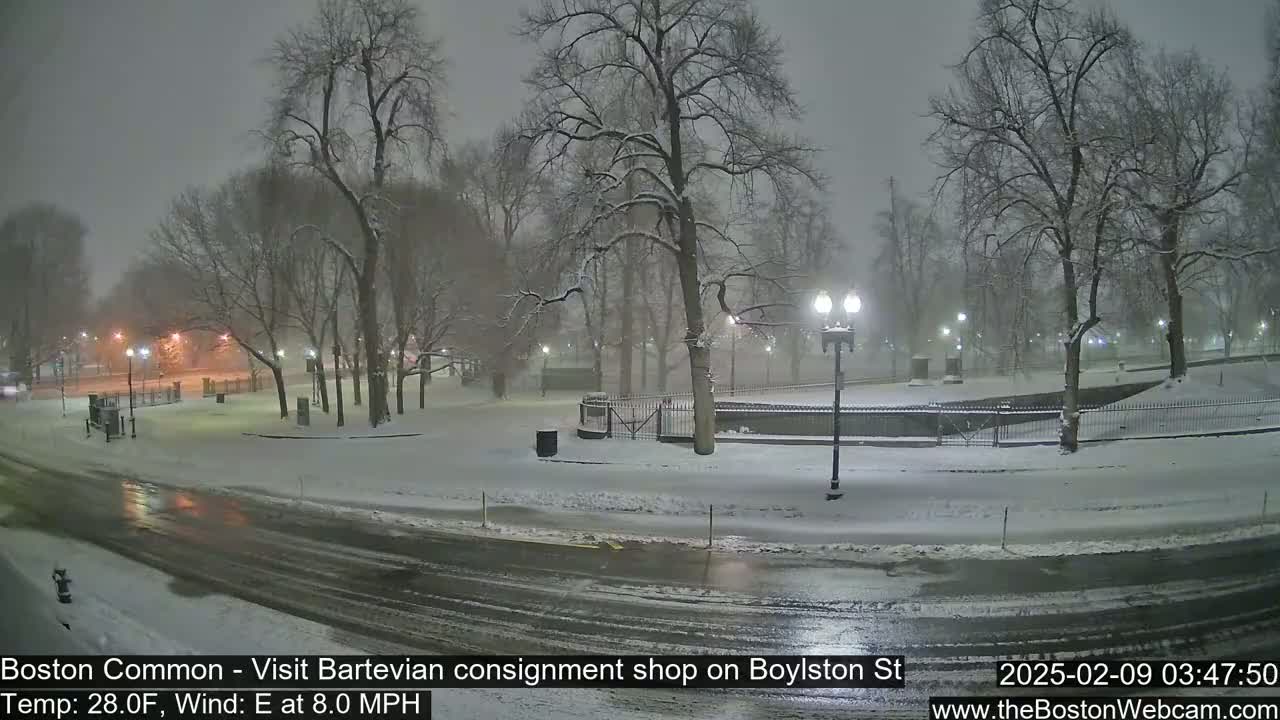Snow falls on a city park at night, illuminating a snow-covered street and trees with streetlights.