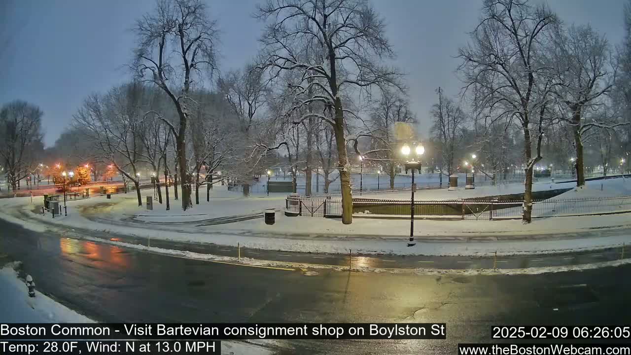 A snow-covered park at night, with a road curving through it, under a dark sky.